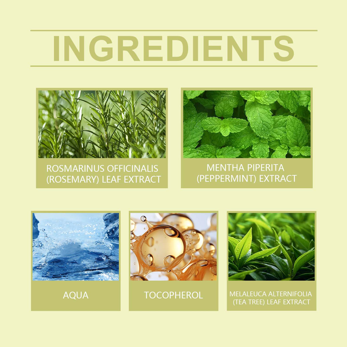 Rosemary Hair Care Spray Nourishes, Nurses, Softens And Leaves Fragrance, Strengthens And Restores Glossy Hair - V.I.P Digital Presence