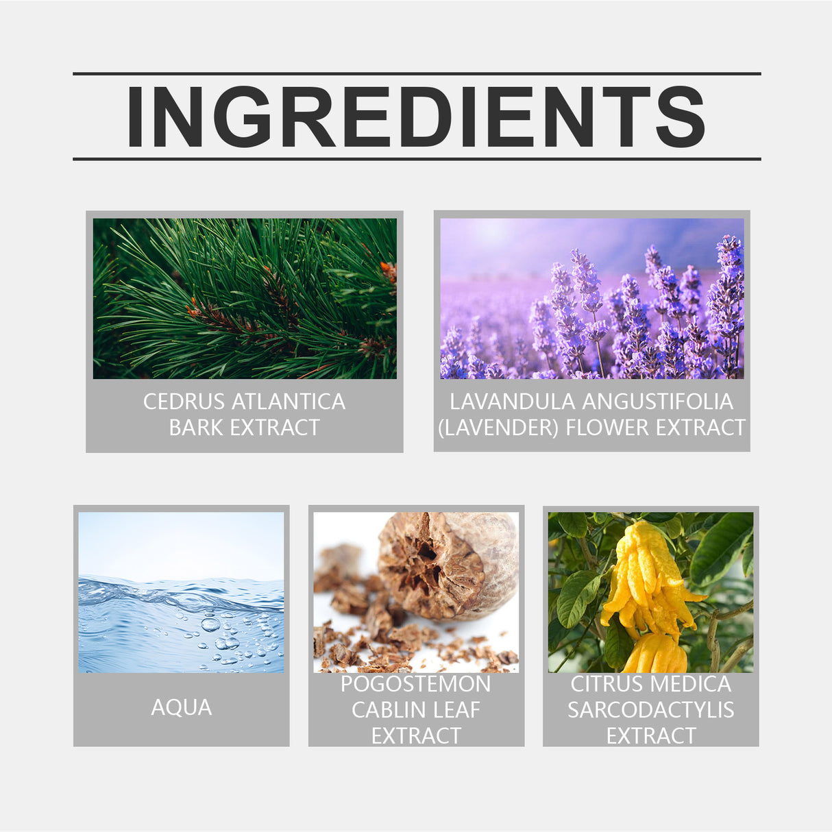 Eau De Toilette, Warm Wood Scent Charming Floral Fragrance Fresh Natural Fragrance Fragrance Lasting Fragrance - V.I.P Digital Presence