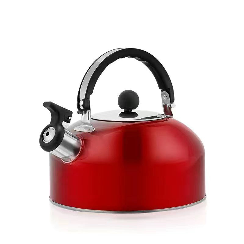 A 3L stainless - steel kettle for gas heating. It features a whistle and a comfortable handle, suitable for cooking and tea. - V.I.P Digital Presence