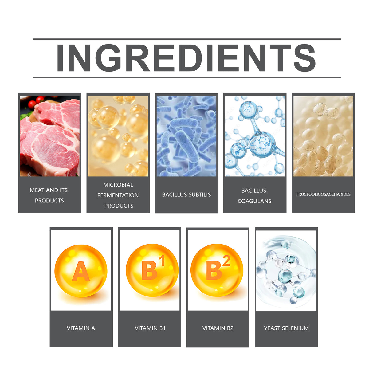 Cats And Dogs General Compound Probiotic Tablets, Pets Absorb Nutrition Supplement Tablets Dog And Cat Nutrition - V.I.P Digital Presence