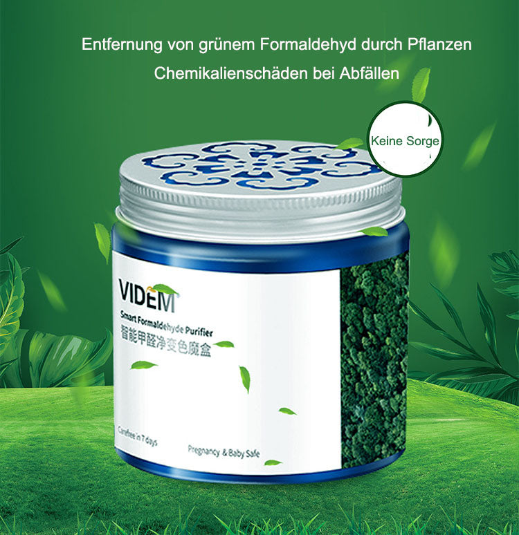 Formaldehyd Entfernung Magic Box Farbwechsel Gelee Gel Formaldehyd Entferner für neues Haus Formaldehyd Entfernung Spray Formald - V.I.P Digital Presence