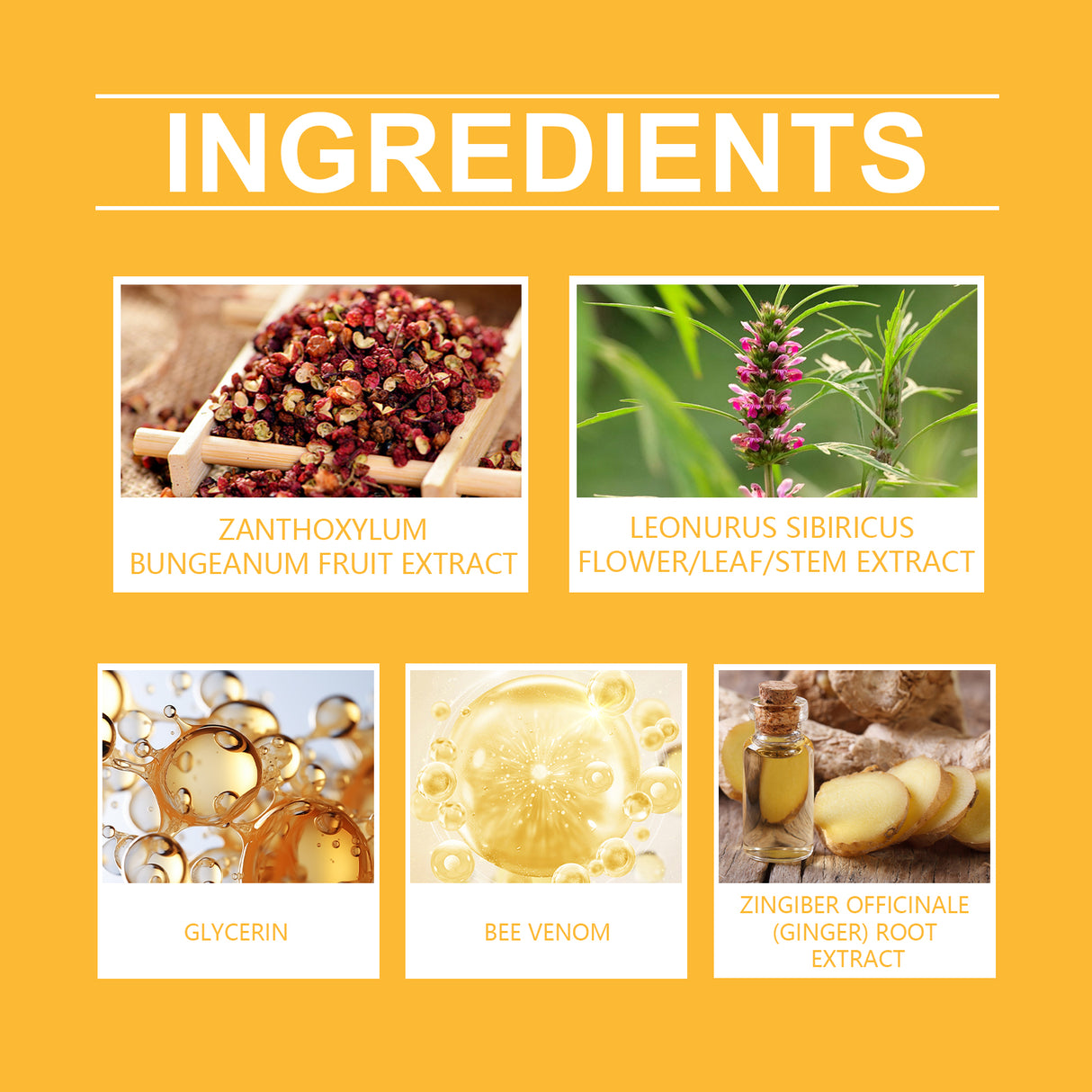 Bee Venom Body Care Patch Body Light Body Care Rejuvenate Body Care Patch - V.I.P Digital Presence