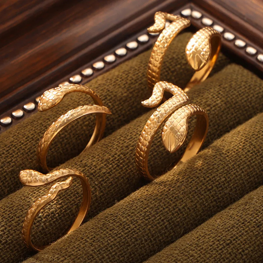 Titanium Steel Snake Shape Bypass Ring - V.I.P Digital Presence