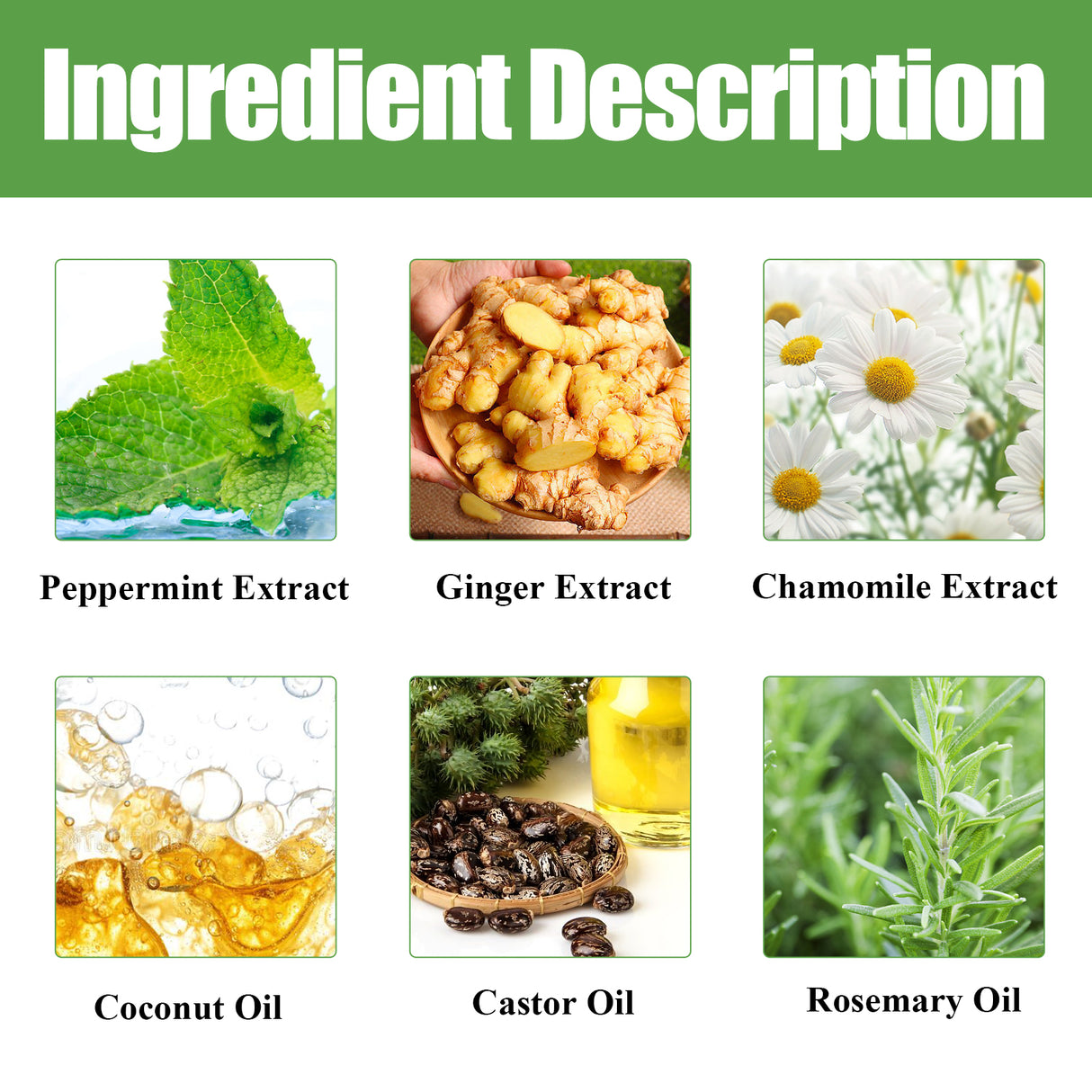 Rosemary Shampoo Deep Cleansing Massage Scalp Moisturizing Soft Dense Hair Shampoo - V.I.P Digital Presence