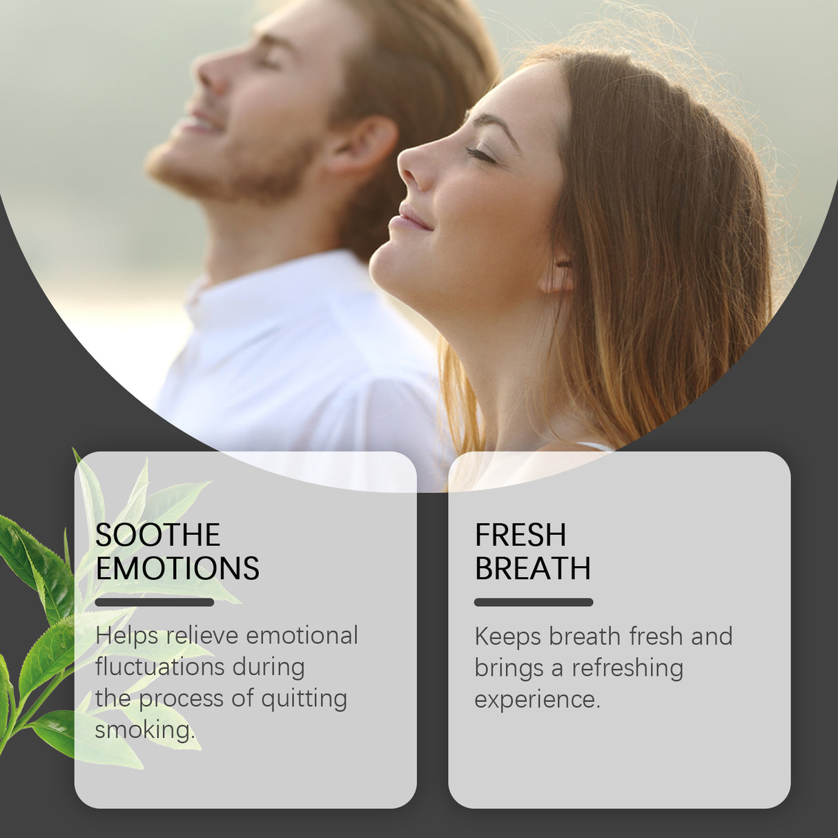 Herbal Care Patch Relieves Discomfort For A Refreshing And Comfortable Experience With Gentle Ingredients - V.I.P Digital Presence