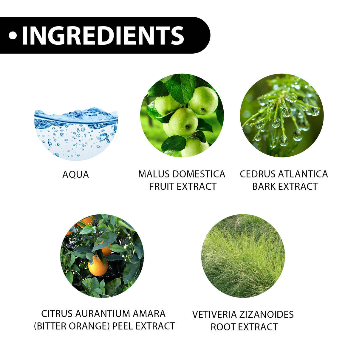 Men's Eau De Toilette Spray Lasting Fragrance Fresh Natural Elegant Release Charm Dating Atmosphere Niche Perfume - V.I.P Digital Presence