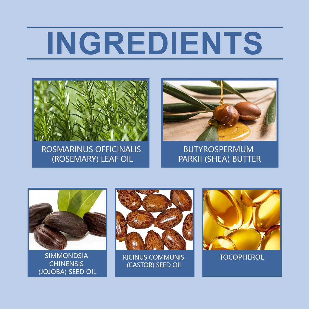 Rosemary Hair Care Oil Nourishes, Strengthens, Smoothes And Improves Scalp Massage Treatment Essence - V.I.P Digital Presence