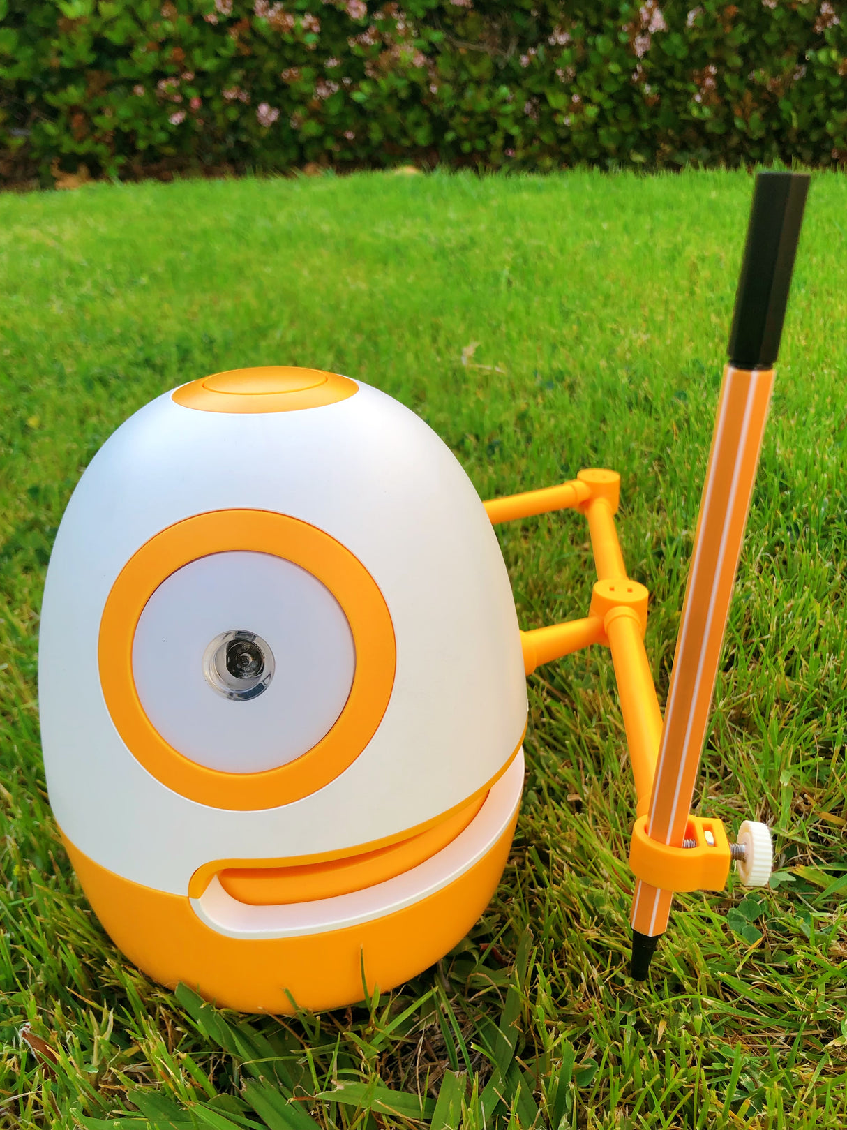 Eggy Robot Teacher We DRAW Educational Robots Preschool Learning Drawing 3+(1 boxes of cards) - V.I.P Digital Presence