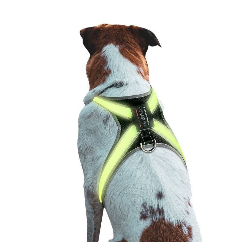 Pet supplies: explosion - proof, flushable, 8 - gear, color - changing LED, chest braces, clothes and collars with traction. - V.I.P Digital Presence