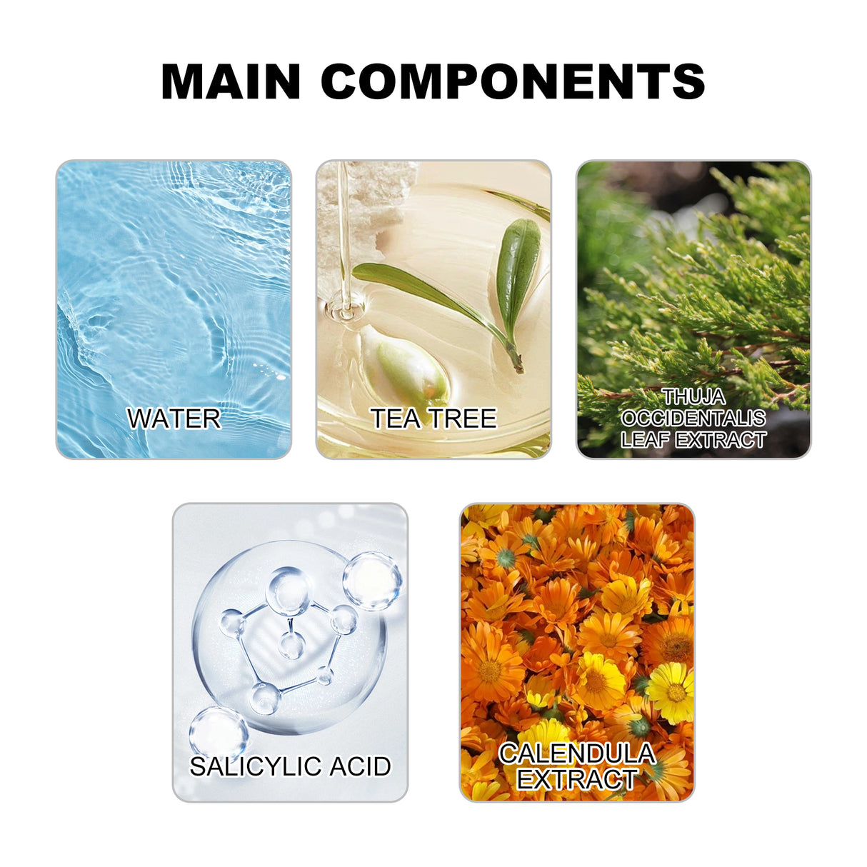 Skin Wart Lotion, Cleanses Skin And Removes Flat Eye Wart Lotion Especially Hand Cocoon - V.I.P Digital Presence