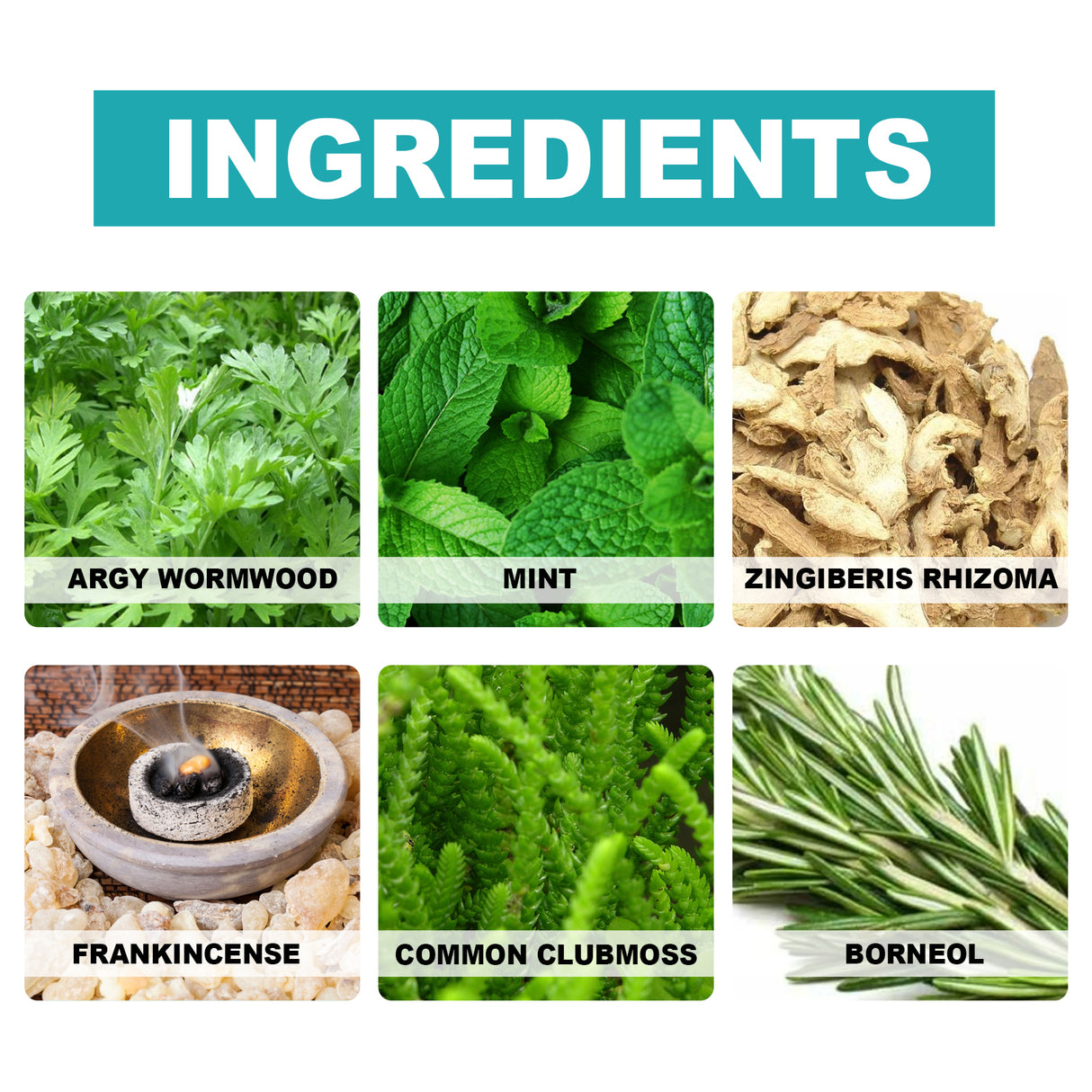 Mugwort Arm Patch, Arm And Leg Natural Herbal Moxibustion Patch - V.I.P Digital Presence