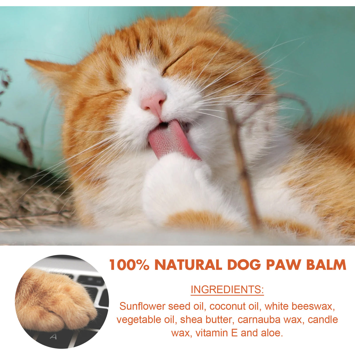 Pet Paw Balm For Cats And Dogs Foot Pad Protective Oil Soothes And Moisturizes And Cures Dry And Cracked Feet - V.I.P Digital Presence