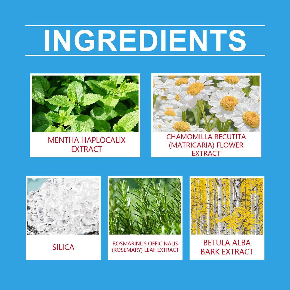 Teeth Beauty Powder, Mouth Cleaning Care Teeth Cleaning Smile Odor Care Powder - V.I.P Digital Presence