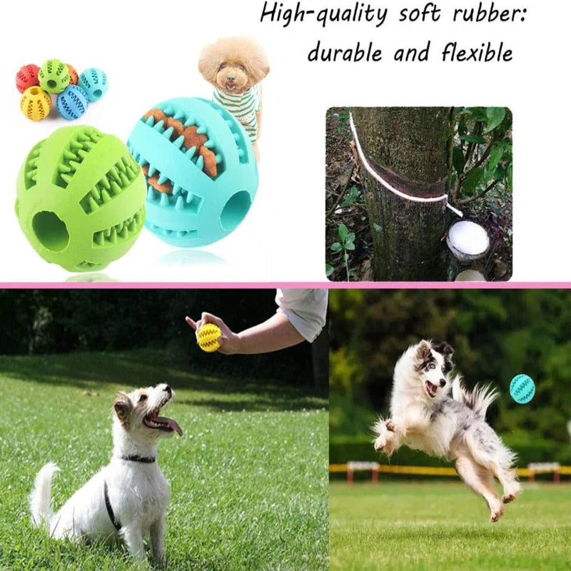 Dog Toy Ball Interactive Rubber Balls Puppy Chewing Toys Pet Tooth Cleaning Ball Cats Pets Food Treat Feeder Silicone Balls Toy - V.I.P Digital Presence