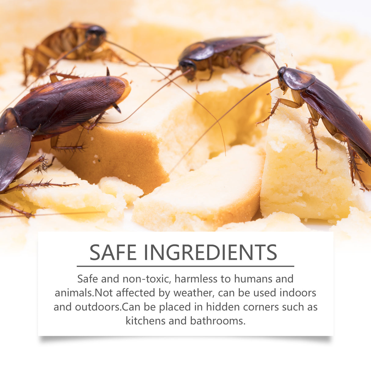 Kill Cockroach Glue Bait, Living Room Kitchen Bedroom Kill Cockroach Glue Bait Home Special Cockroach Bait - V.I.P Digital Presence