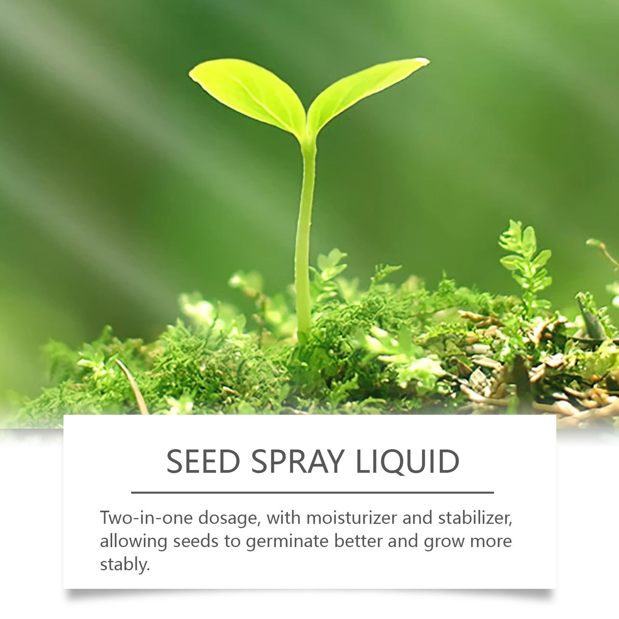 Liquid Lawn Green Spray Flowers And Fruit Trees Green Grass Grass Plant Spray - V.I.P Digital Presence
