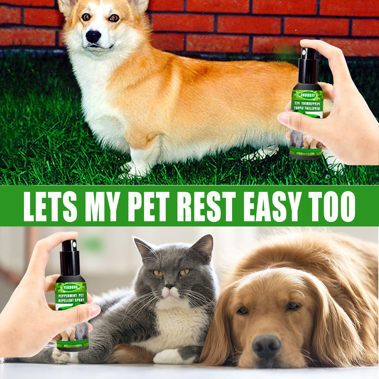 Peppermint Pet Repellent Spray, Dog Mite Spray Pet Mite Fungus Spray For Cats And Dogs - V.I.P Digital Presence