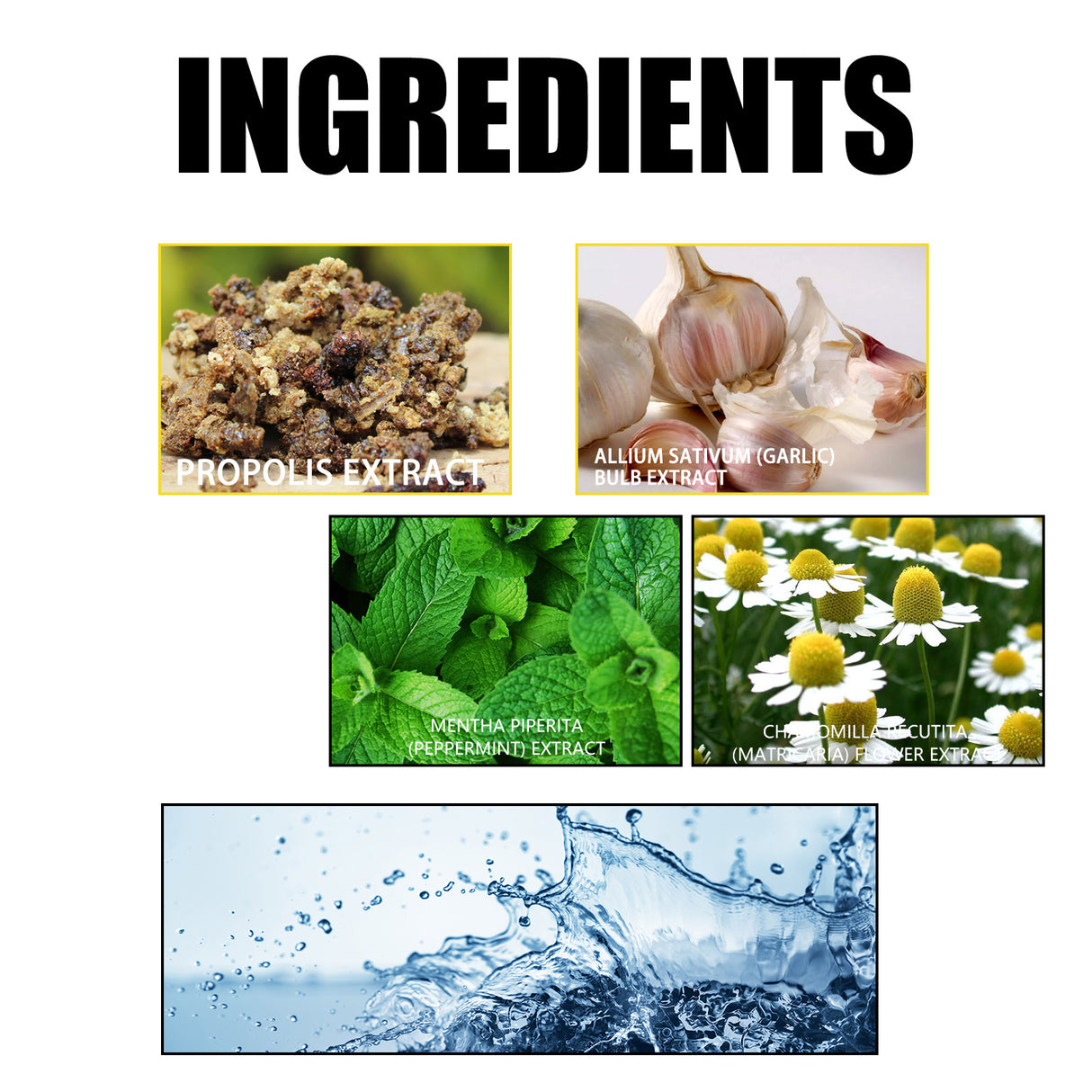 Propolis Oral Cleaning Mousse Oral Cleaning Care Tooth Stain Removal Fresh Mousse Toothpaste - V.I.P Digital Presence