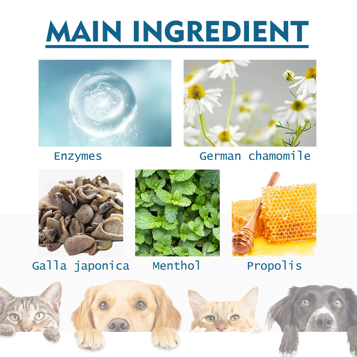 Pet Oral Cleaning Spray, Cats And Dogs Remove Tartar And Bad Breath Fresh Mouth Care Spray - V.I.P Digital Presence