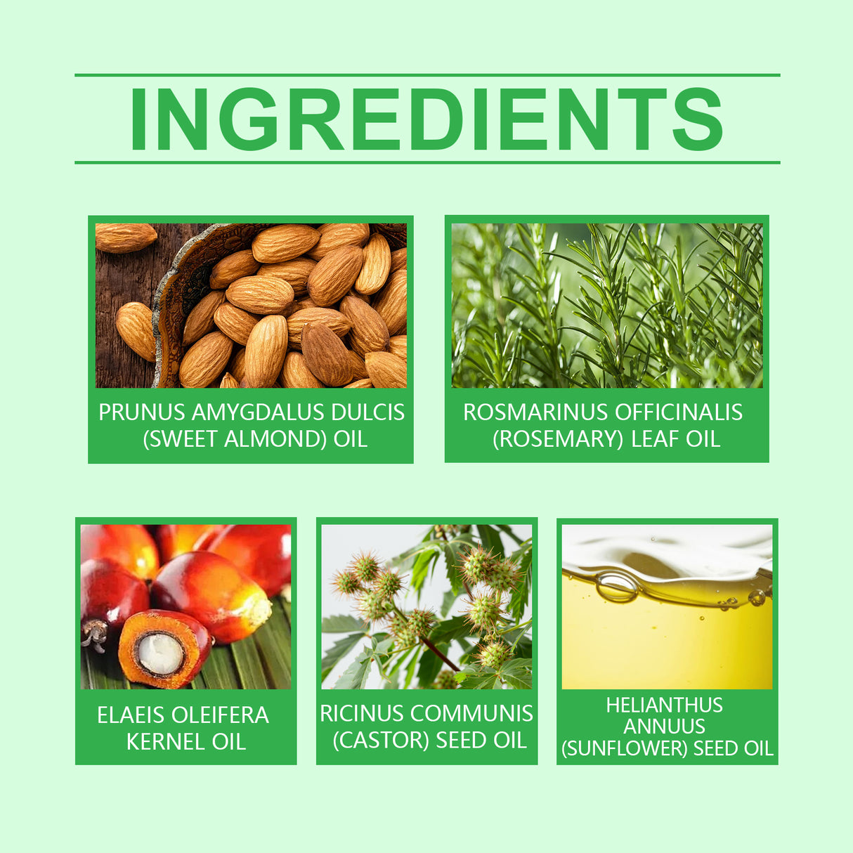 Rosemary Black Castor Batana Oil Nourishing Moisturizing Repair Hydrating Hair And Nail Care Essence - V.I.P Digital Presence