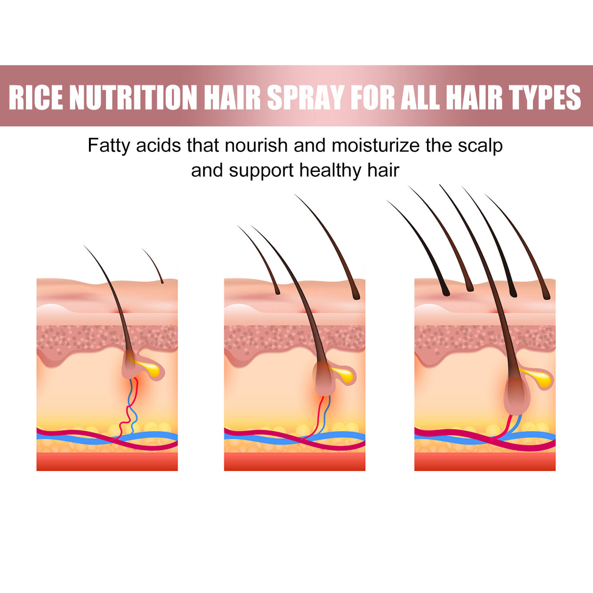 Rice hair Care Spray strengthens hair and moisturizes scalp - V.I.P Digital Presence
