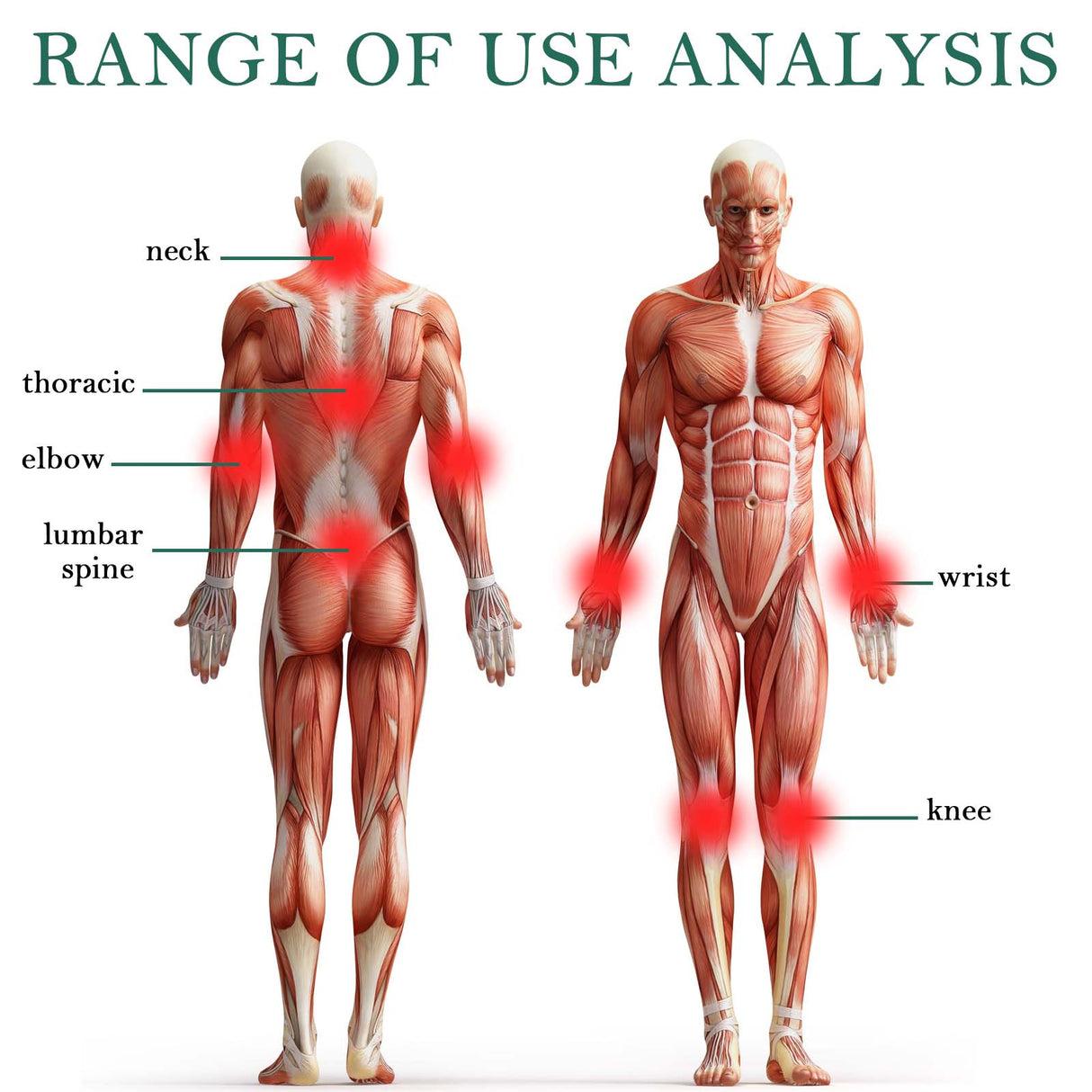 Lumbar Vertebra Plaster, Relieve Lumbar Stiffness, Swelling And Pain Lumbar Disc Protruding Muscles And Bones Care Patch - V.I.P Digital Presence