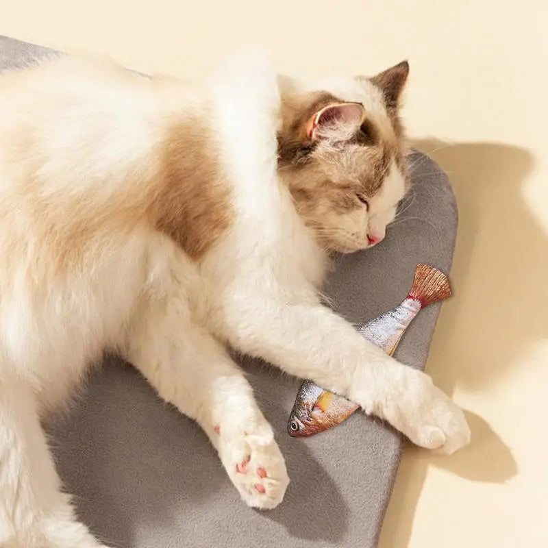 Floppy Fish PlayMate - V.I.P Digital Presence