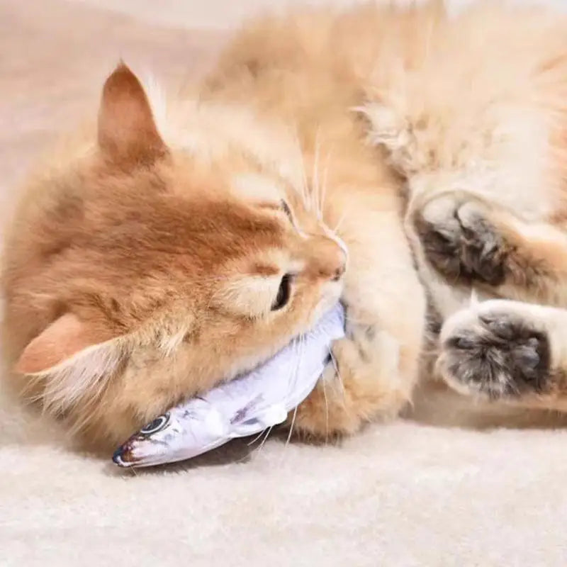 Floppy Fish PlayMate - V.I.P Digital Presence