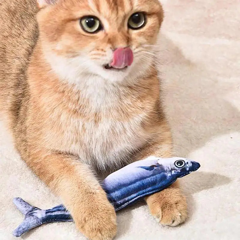 Floppy Fish PlayMate - V.I.P Digital Presence