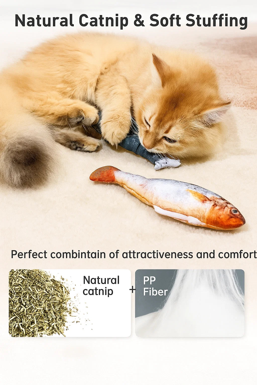 Floppy Fish PlayMate - V.I.P Digital Presence