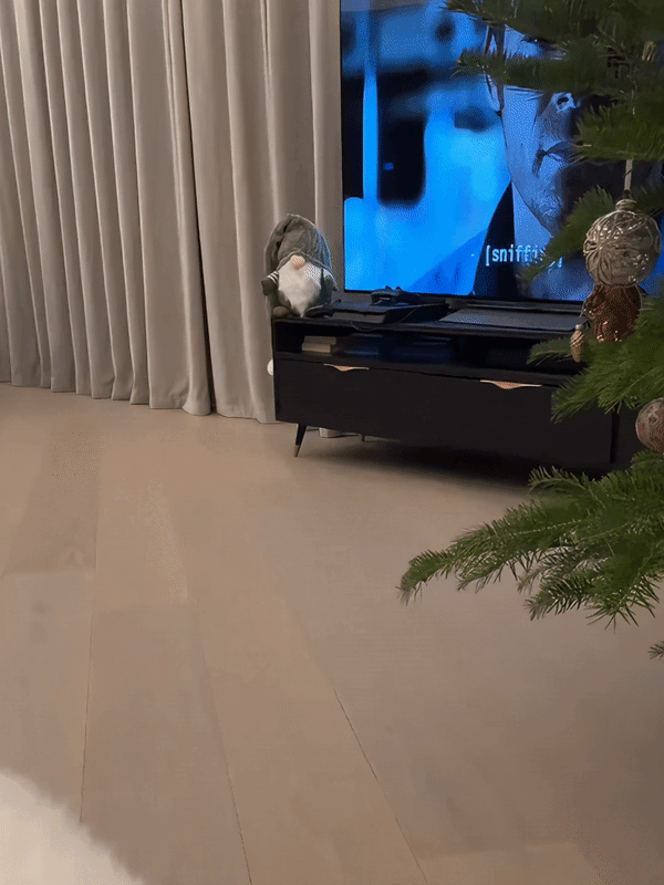 Cargo Minihaul - V.I.P Digital Presence