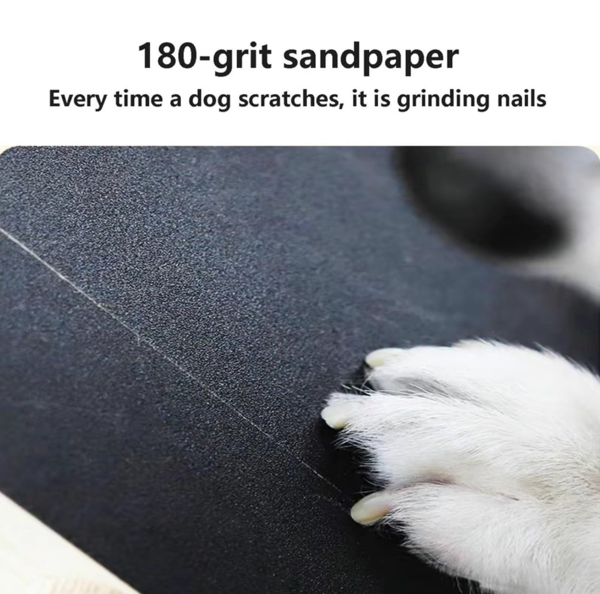 Paw Nail Smooth Board - V.I.P Digital Presence