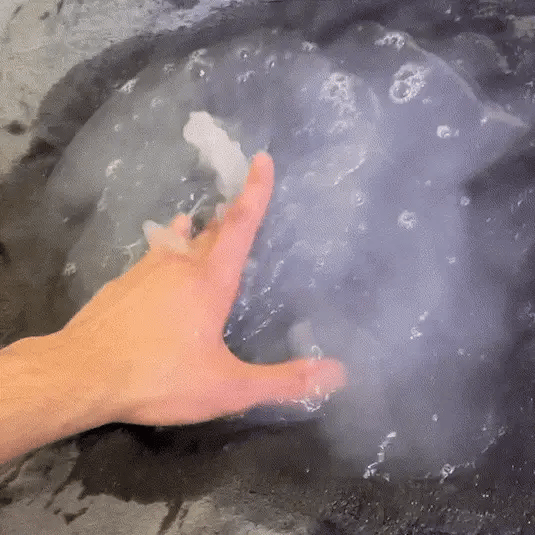 Protection Blanket - V.I.P Digital Presence