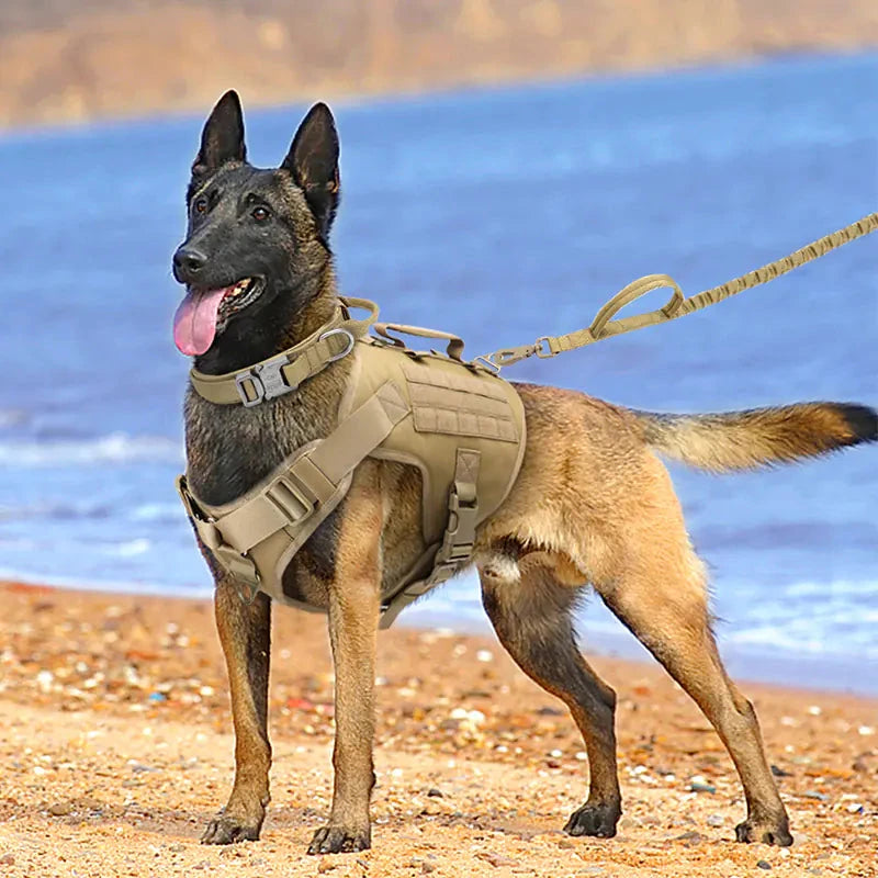 Tactics K9 Chest Harness Vest for Dogs - V.I.P Digital Presence