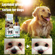 Tear Duct Serum For Dogs, Cats And Dogs Removal Eye Poop Pet Topical Eye Tear Stain Serum - V.I.P Digital Presence