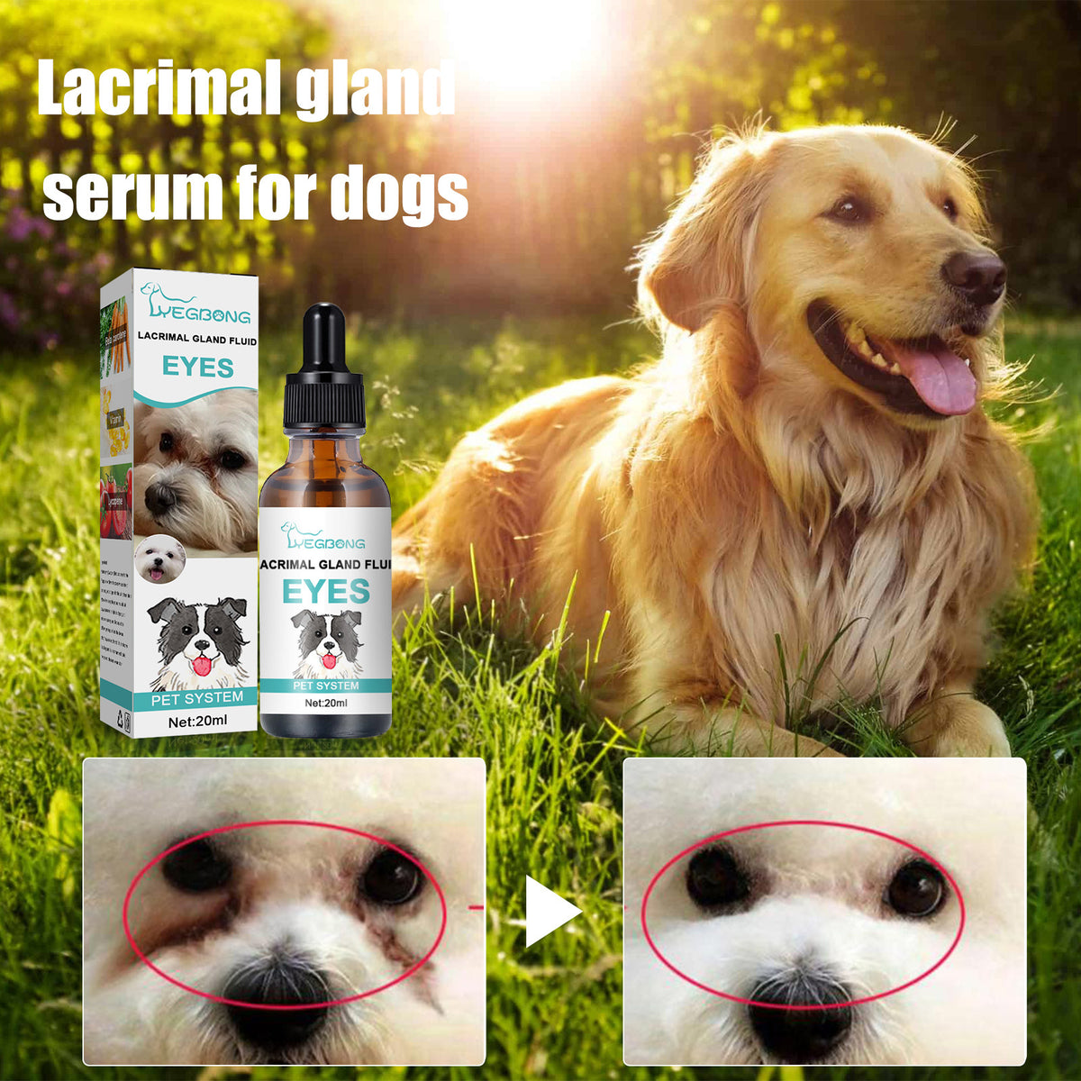 Tear Duct Serum For Dogs, Cats And Dogs Removal Eye Poop Pet Topical Eye Tear Stain Serum - V.I.P Digital Presence
