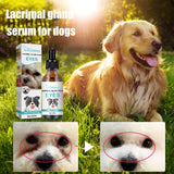 Tear Duct Serum For Dogs, Cats And Dogs Removal Eye Poop Pet Topical Eye Tear Stain Serum - V.I.P Digital Presence