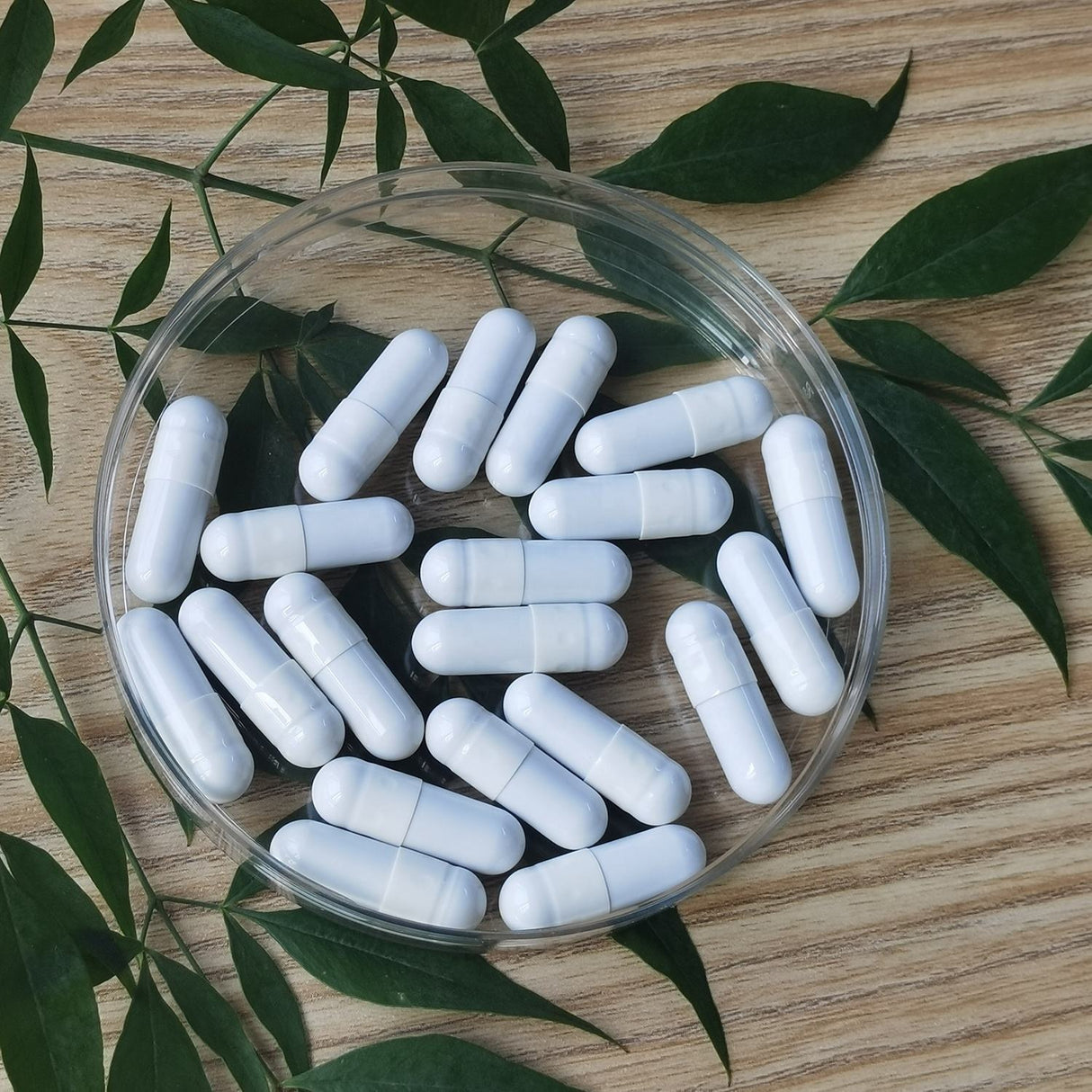 120 capsules of active vitamins B2、B6、B9、B12 for girls can be taken as vitamin E supplements - V.I.P Digital Presence