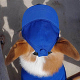 Pet Dog Outdoor Photography Leisure Sunshade Hat with Ear Holes Adjustable Corgi Baseball Cap - V.I.P Digital Presence