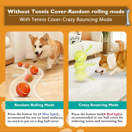 SmartRoll Pet Ball - V.I.P Digital Presence