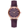 Luxury Watches Quartz  Watch Stainless Steel Dial Casual Bracele Watch - V.I.P Digital Presence