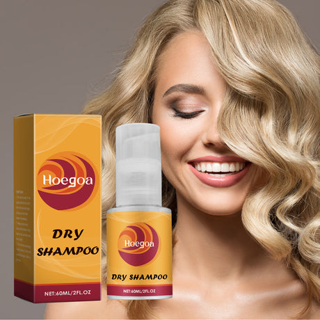 Leave-In Dry Hair Spray - V.I.P Digital Presence
