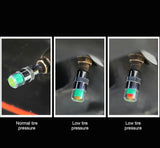 AutoCheck TireGuard Caps