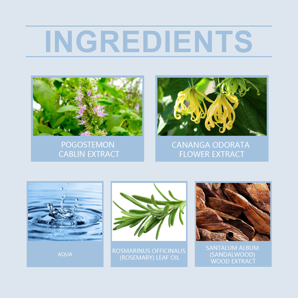 Men's Charm Perfume, Natural Fresh Lasting Fragrance Release Men's Charm Temperament Dating Atmosphere Perfume - V.I.P Digital Presence