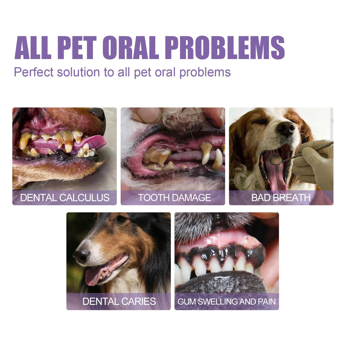 Pet Oral Care Gel for Deep Cleaning of Dog and Cat Teeth Stains and Oral Hygiene - V.I.P Digital Presence