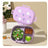 Cartoon cute small fresh microwaveable compartment insulation lunch box fresh-keeping box - V.I.P Digital Presence