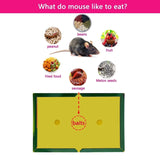 3-15pcs Mouse Board Sticky Mice Glue Trap High Effective Rodent Rat Bugs Catcher Pest Control Reject Non-toxic Eco-Friendly - V.I.P Digital Presence