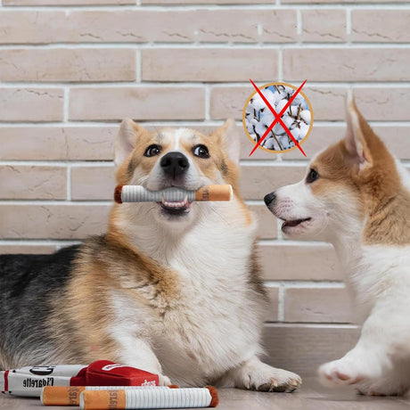 Dog cigarettes with box, sound making toys, pet toys, bite resistant and grinding plush toys, cat supplies - V.I.P Digital Presence