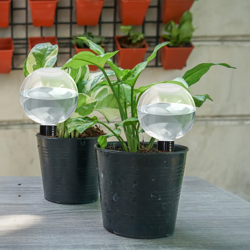 1-5PCS 500ML Plastic Automatic Plant Watering Bulbs, Globe - Shaped Self - Watering Drip Irrigation for Pots - V.I.P Digital Presence