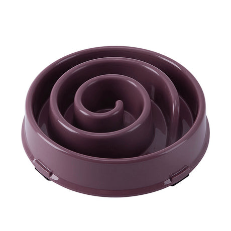 Slow Feeding Bowl for Dogs and Cats Anti-Slip and Anti-Choking Pet Feeder Pet Supplies - V.I.P Digital Presence